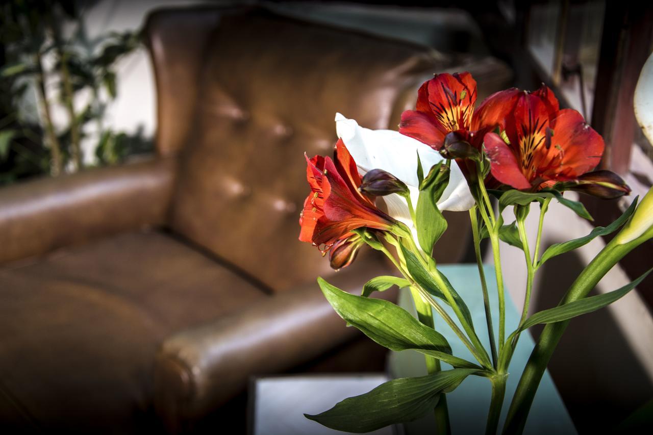 Bed and Breakfast York Vintage La Paz Zewnętrze zdjęcie